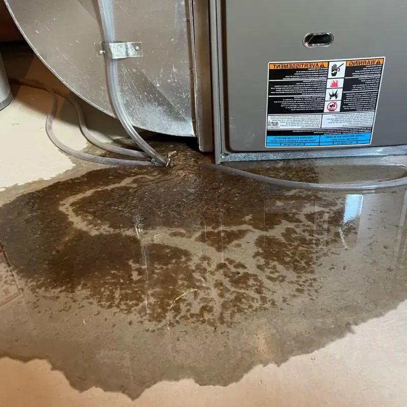 Pipe Burst and Leak Restoration in Attica, IN