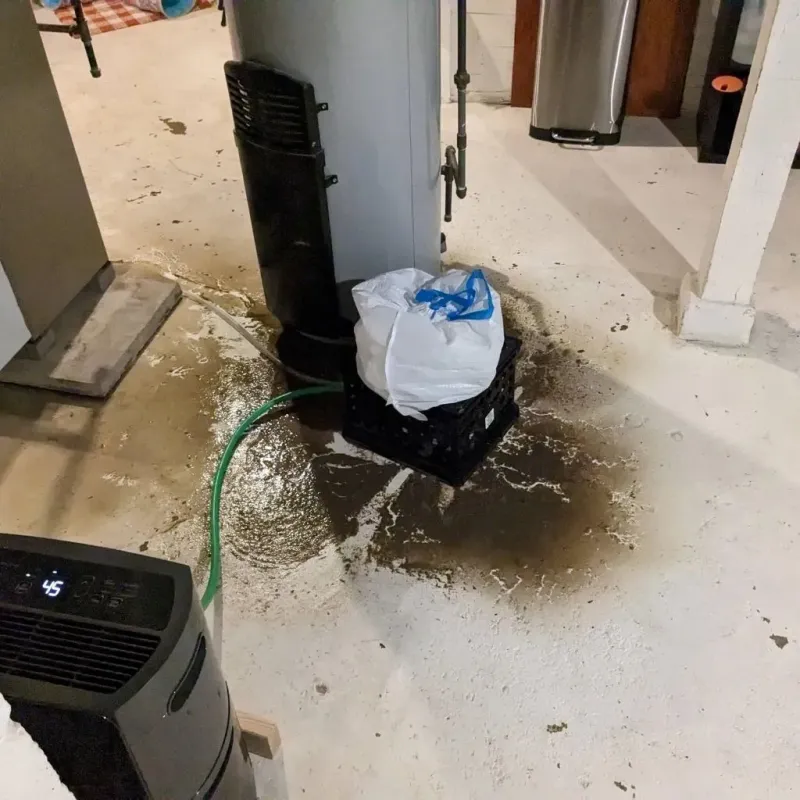 Sewage Backup Cleanup Service in Attica, IN